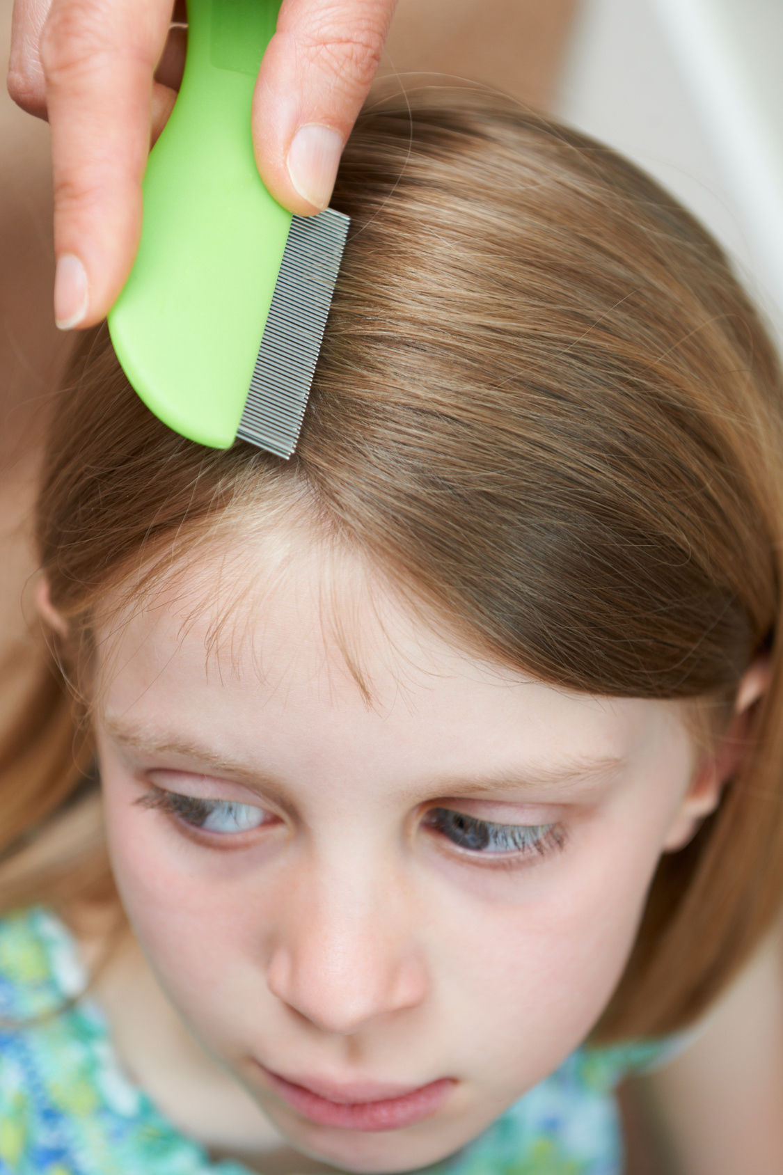 Rise in nits cases