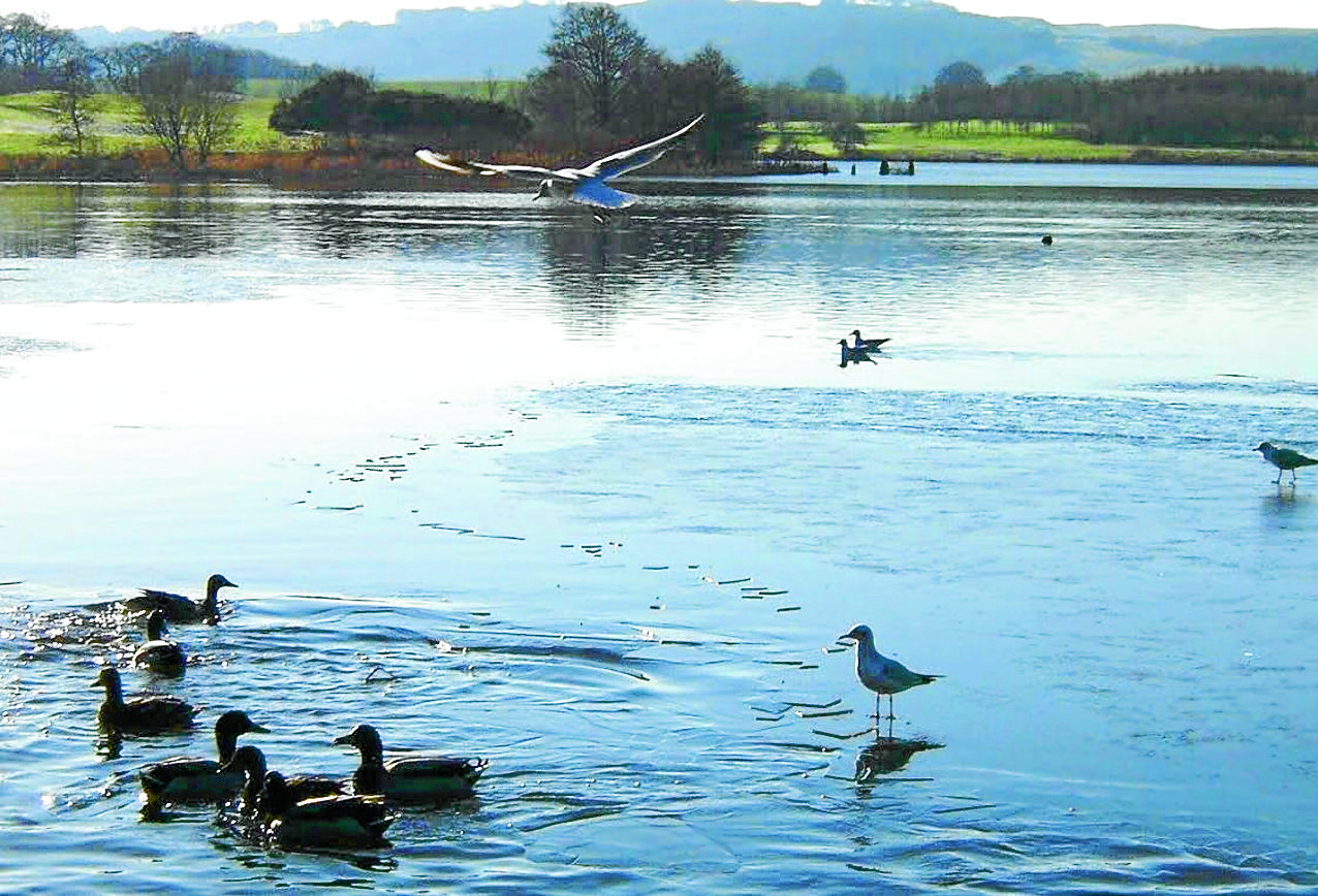 Public urged to keep off the ice
