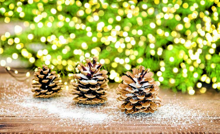 Church offers chance to ‘Light up a Life’