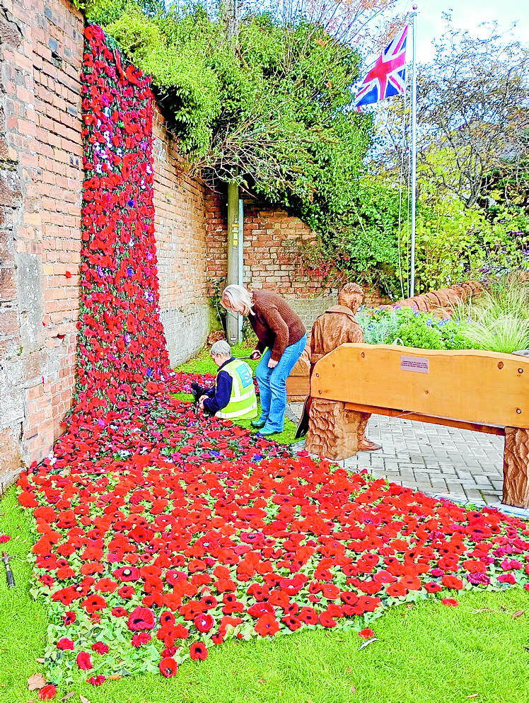 Poppy wall goes live
