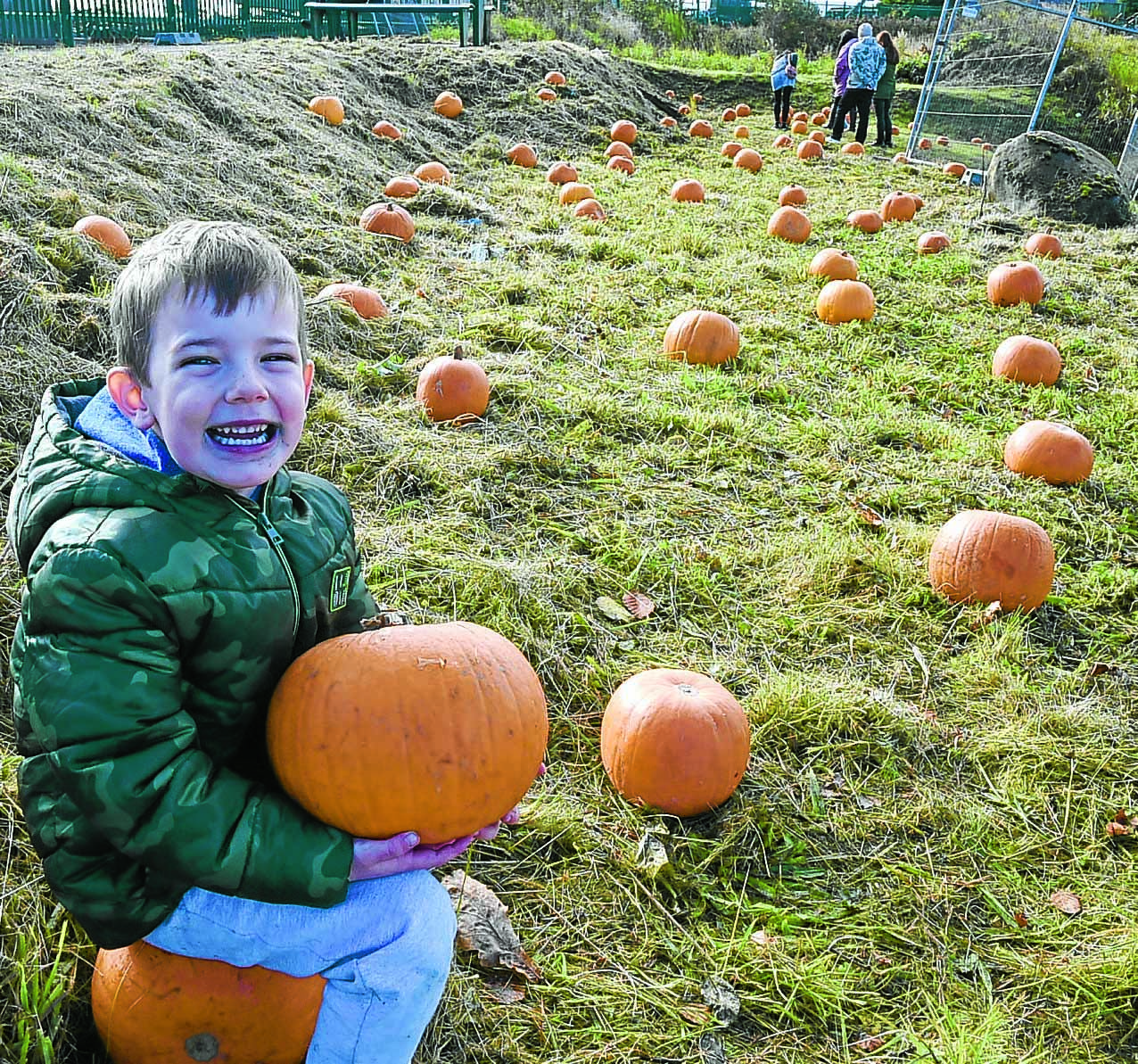 Pumpkin patch fun!