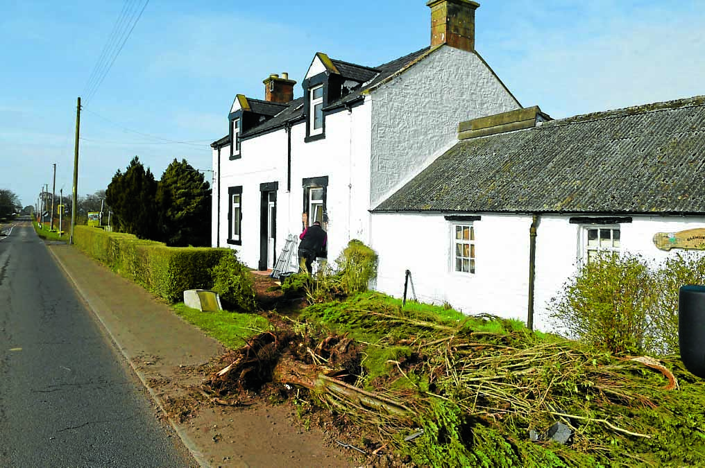 Couple’s shock as truck hits home