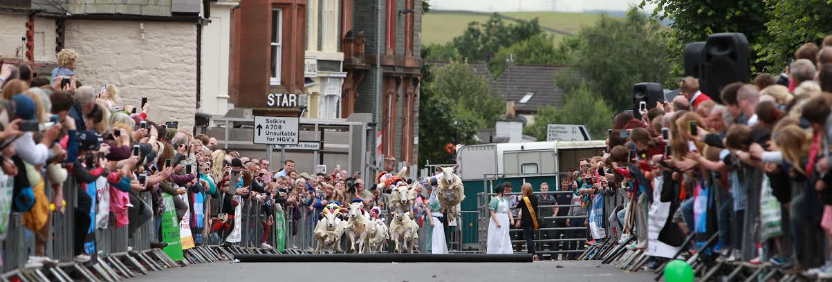 Baaa-rmy sheep race delivers on fun
