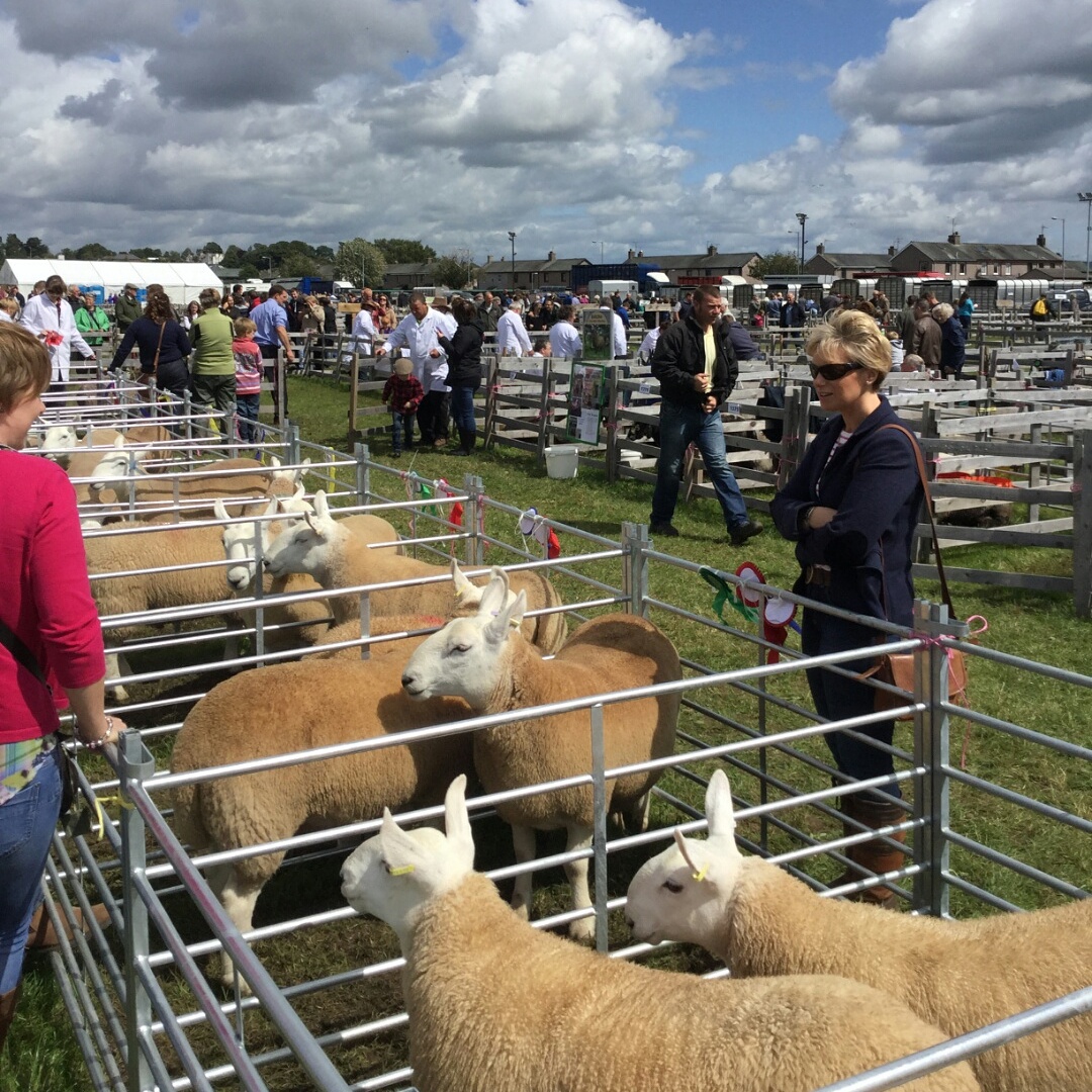 Good weather brings in crowds at Dumfries Show