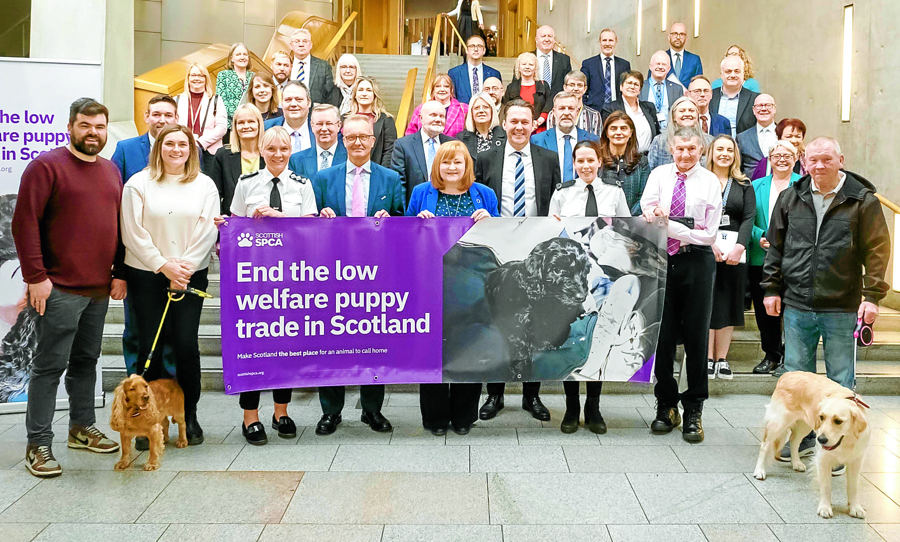 MSP puts puppy farming in focus
