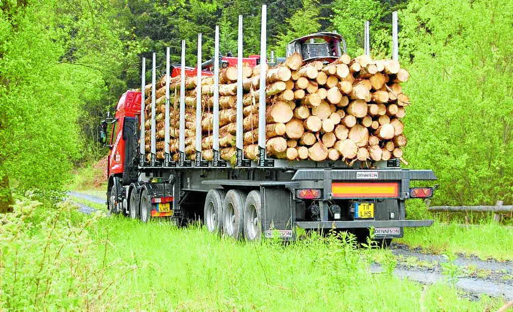 Timber transport cash announced