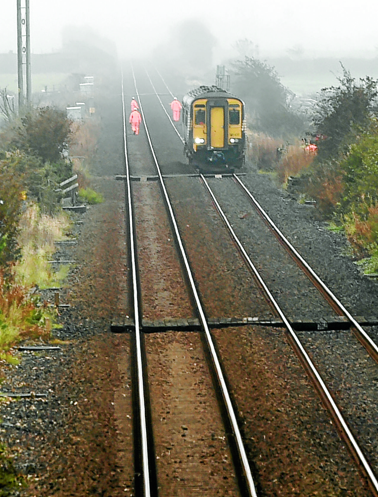 Delays after train strikes cows