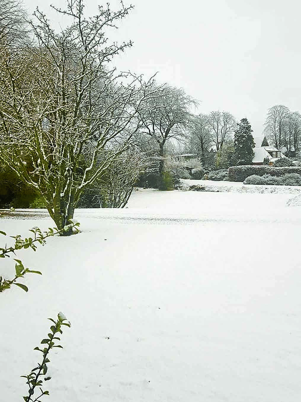 It's a whiteout - more photos added