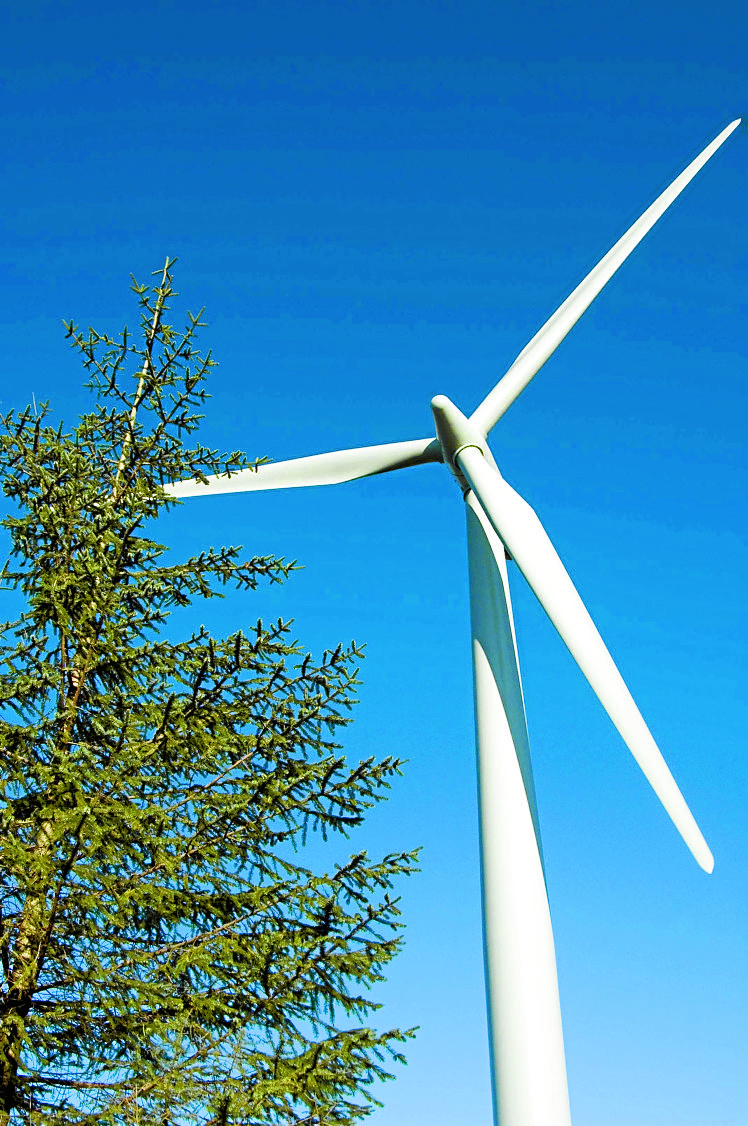 Energy firm donates to community groups