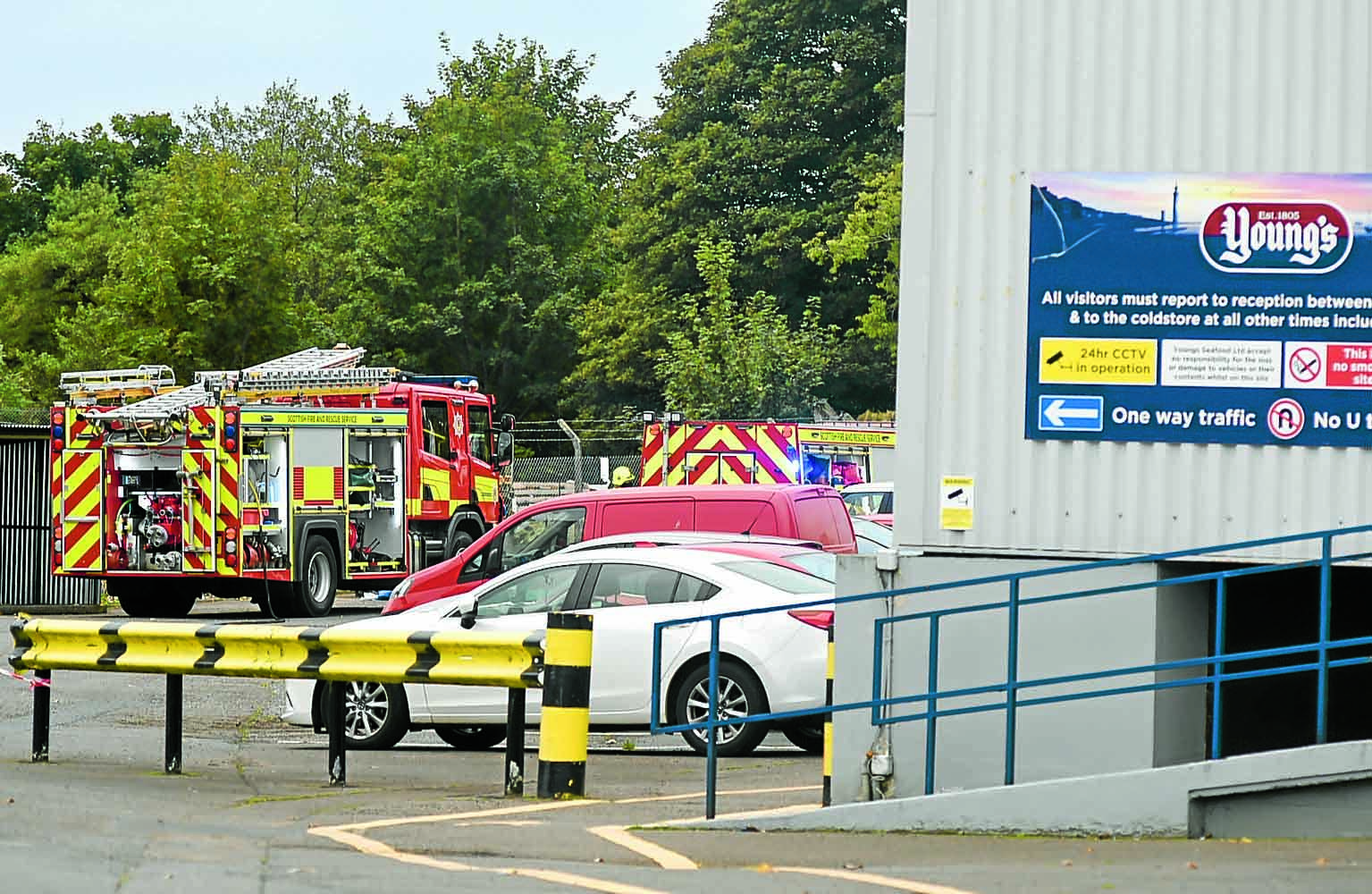 Chemical leak at fish plant